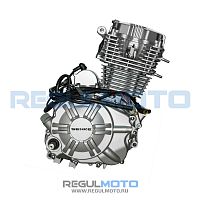 фото Двигатель 165FML Senke 200GY-5  1031301-048523