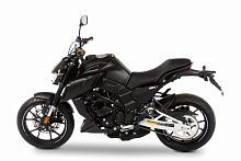 фото Мотоцикл Regulmoto Alien Monster 300 чёрный  100012-11