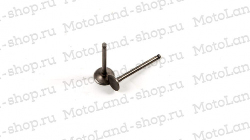 фото Клапаны (компл 2шт.) 139FMB 50-70см3 MOTOLAND  ,  , , 