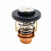 фото Термостат  60℃ Skipper для Yamaha 9.9/13.5/15/20 HP  SK6AH-12411-00