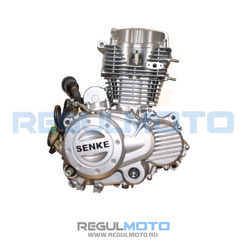 фото Двигатель 165FML Senke 200-9 1031002-048000 ,  , , 