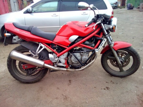 фото Дуги защитные ARMOR-BIKE SUZUKI BANDIT 250 (1 ПОКОЛЕНИЕ)  ,  , , 