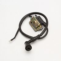 фото КАТУШКА ЗАЖИГАНИЯ YX1P53FMI W120, W120-2, YX1P56FMJ X150  00000018814