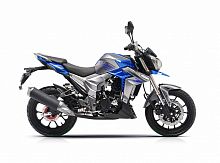 фото Мотоцикл Regulmoto T-Leopard 300  100015-1