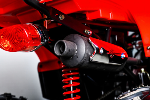 фото Квадроцикл SPRMOTORS Grizzly - 125HM 0000202 ,  , ,  фото 6