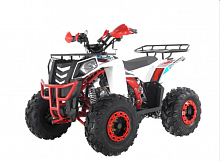 фото Квадроцикл WELS THUNDER EVO 125 цвет : белый   