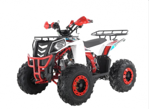 фото Квадроцикл WELS THUNDER EVO 125 цвет : белый   ,  , , 