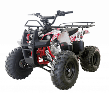 фото Квадроцикл WELS THUNDER 125 Basic  
