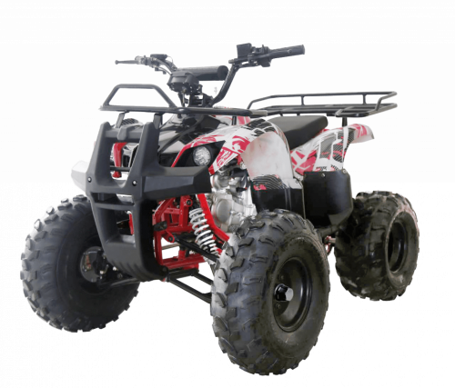 фото Квадроцикл WELS THUNDER 125 Basic  ,  , , 