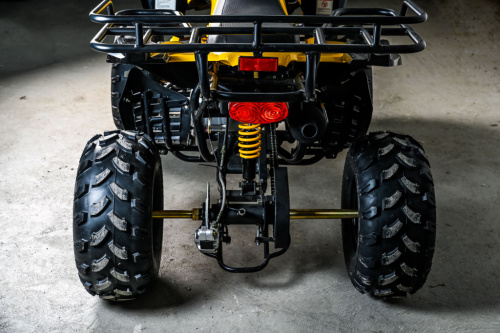 фото Квадроцикл SPRMOTORS Grizzly PRO-150M 0000204 ,  , ,  фото 4