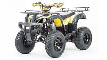 фото Квадроцикл Motoland 250 ADVENTURE  