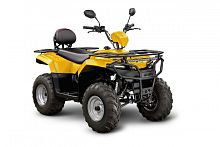 фото Квадроцикл IRBIS ATV 250  