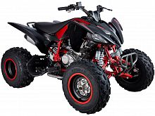 фото Квадроцикл Mikilon Rapide 250S  250S