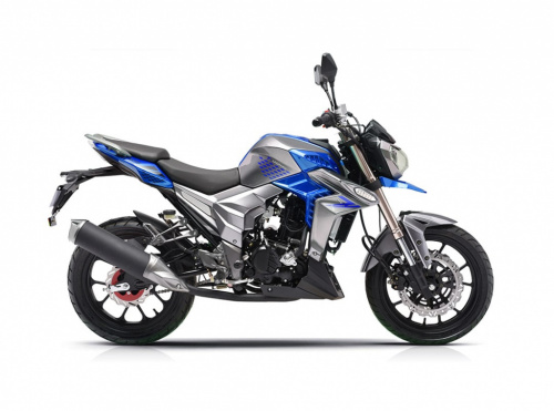 Мотоцикл Regulmoto T-Leopard 300 100015-1 , фото Мотоцикл Regulmoto T-Leopard 300 100015-1 , , ,