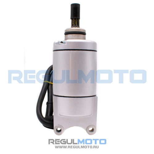 фото Электростартер в сборе ZS172FMM PR, CB300RL, PR300PRO 100081750-0001 ,  , , 