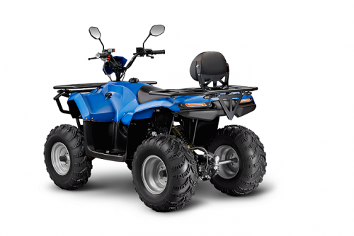 Квадроцикл IRBIS ATV200 LUX , фото 4 фото Квадроцикл IRBIS ATV200 LUX , , , фото 4