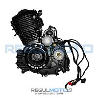 фото Двигатель TYNT200 EFI  203670