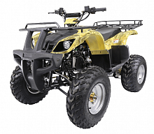 фото Квадроцикл WELS THUNDER 150  