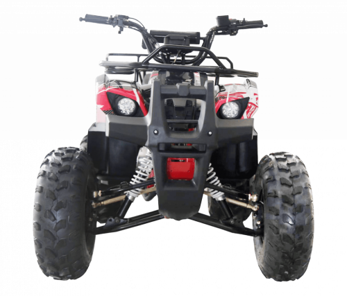 фото Квадроцикл WELS THUNDER 125 Basic  ,  , ,  фото 2