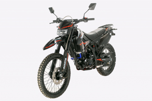 фото Мотоцикл Avantis LX 300 NB  (ПТС) 00000039552 ,  , , 