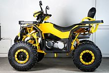 фото Квадроцикл SPRMOTORS Extreme  - 250DQ  0000203