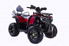 фото Квадроцикл Progasi RaceJumper 250 Long Chili red  6598745698746