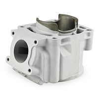 фото Цилиндр Sledex для Polaris  SM-09614