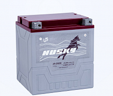 фото Аккумулятор HUSKY 1230 (YIX30L-BS)  GT30-3HD 1230 YIX30L-BS
