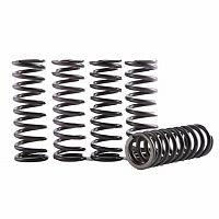 фото Набор пружин сцепления Hinson CS357-5-001  CS357-5-001