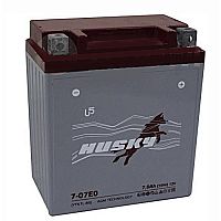 фото Аккумулятор HUSKY 1209.1 (YT9B-BS)  9-12F1 1209.1 YT9B-BS