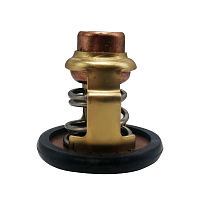 фото Термостат 60℃ Skipper для Yamaha 20/25 HP  SK6FM-12411-00