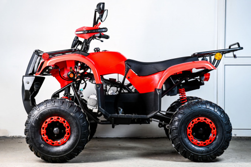 фото Квадроцикл SPRMOTORS Grizzly - 125HM 0000202 ,  , ,  фото 4