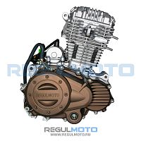 фото Двигатель CBB200 (ZS165FMM)  201364
