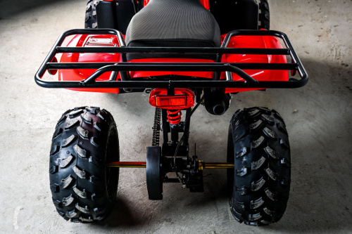 фото Квадроцикл SPRMOTORS Grizzly - 125HM 0000202 ,  , ,  фото 3