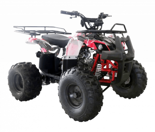 фото Квадроцикл WELS THUNDER 125 Basic  ,  , ,  фото 3