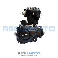 фото Двигатель 165FML Senke 200, 200-9  1031211-085207