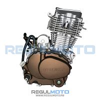 фото Двигатель ZS163FML (CG200-A)  201365