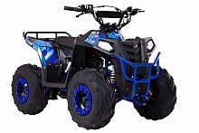 фото Квадроцикл WELS THUNDER EVO. M. 110  