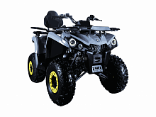 фото Квадроцикл Avantis Forester Long 200 Basic Серый  00008214