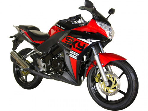 фото Мотоцикл Racer Skyway RC300CS  ,  , ,  фото 2