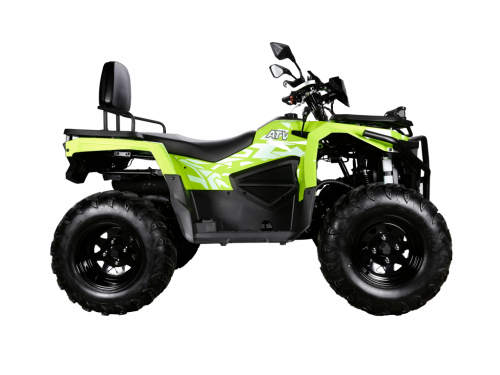 фото Квадроцикл Avantis ATV 300 Lux 00005089 ,  , ,  фото 3