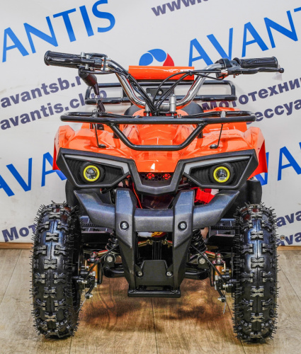 фото Детский квадроцикл ATV CLASSIC E 800W NEW ( электрический )  ,  , ,  фото 2