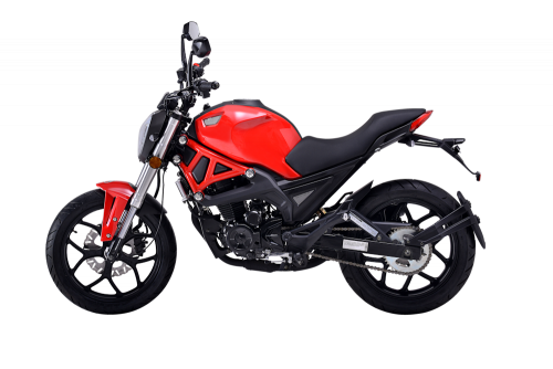 фото Мотоцикл VMC Monster Plus BY200-2A 197см3 (ЭПТС) vmc-monster-200-plus ,  , , 